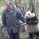浪吹加一