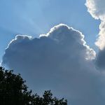 重养自己还得靠文艺--这个既是病也是药的东西