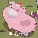 小安YINEX