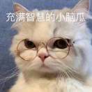 旸谷虞渊