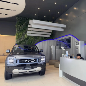 油价一涨，东南亚排队抢中国电车