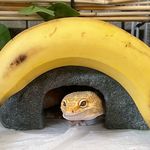 亿喃