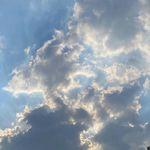 半躺不躺的阿狗