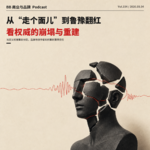 Vol.104 从「走个面儿」到鲁豫翻红，看权威的崩塌与重建