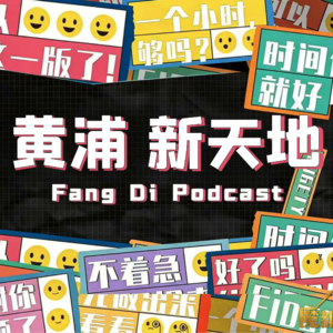 vol 015: 聊聊上海二手板块【黄浦 新天地】