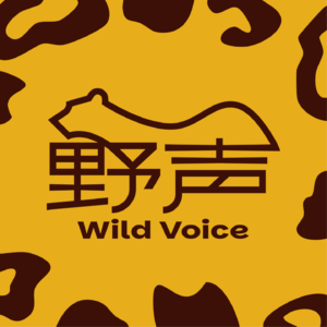 No.11 世界再快，稳住配速，过不被裹挟的人生