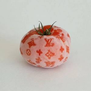 不吃番茄的刺猬