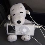 小明不打算讲道理