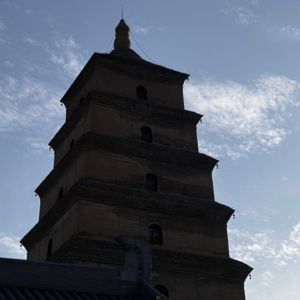 穿越时光的西安 Citywalk：从钟楼到碑林的文化之旅