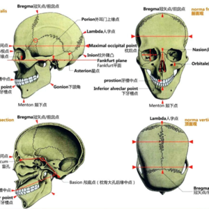 E15：旱厕遗骨-遵义务川抛尸案