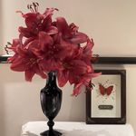 燕麦拿铁不加冰块