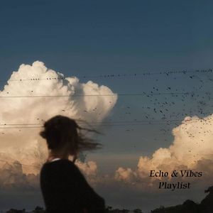 Playlist | 允许生活有一段,只剩下风声与飞鸟的留白