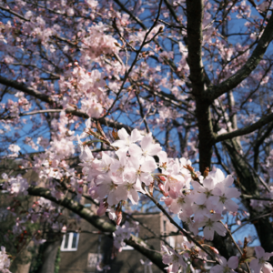 【021】妇女节闲聊