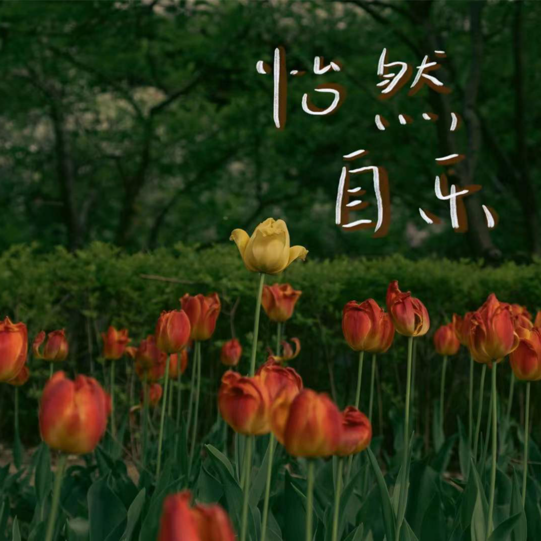 002|在初夏写一本春日回忆录