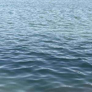 哀伤：找回流离失所的自己｜CPTSD专题