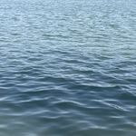 哀伤：找回流离失所的自己｜CPTSD专题