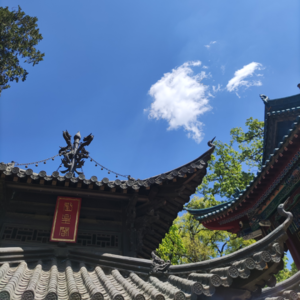 玄学聊天室000|漫漫玄学路:被离奇命运推上学习命理的道路