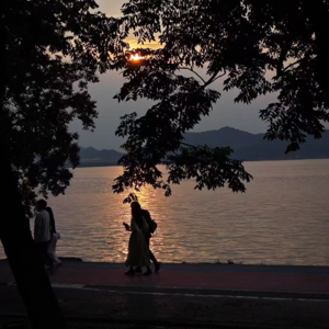 谢谢你，让我无数次被看见