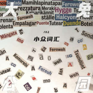 102-小众美词:语言光影重叠处,恰是人类共感时