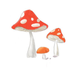 爱你就像爱生命💕