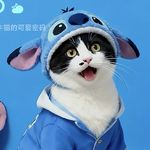 遥远冰川海苔