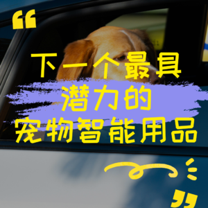 下一个最具潜力的宠物智能用品