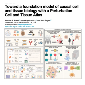 032-Foundation model of causal cell