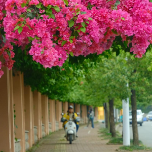 第378期：邕有生活——在南宁，你永远被火热的生活包裹着