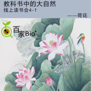 荷花-教科书中的大自然-线上读书会1/4