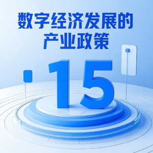 第十五章 数字经济发展的产业政策 - 李三希《数字经济概论》