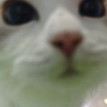 今天一定要喝到咖啡