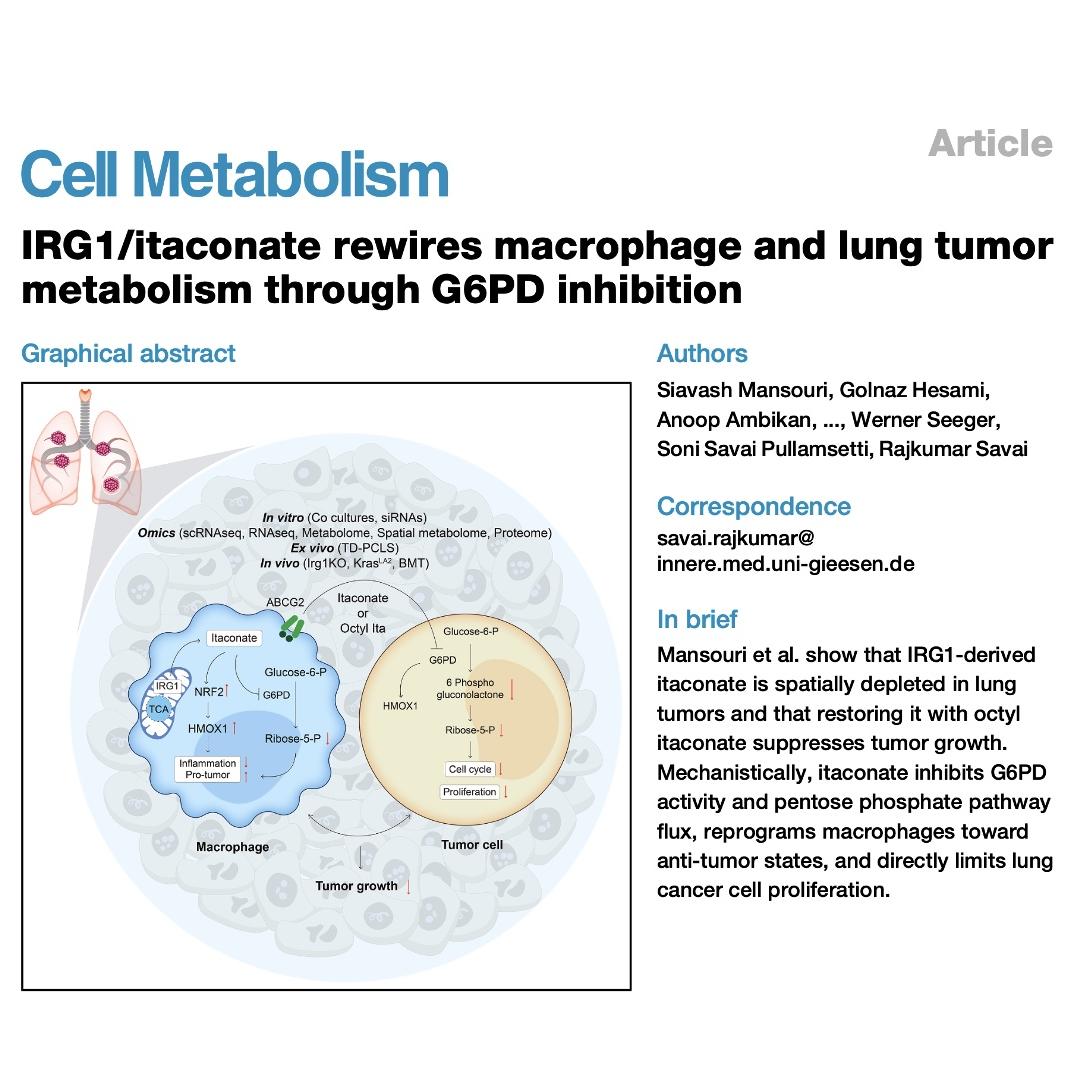 1217-Irg1/Itaconate Rewires Macrophage and Tumor Metabolism episode artwork