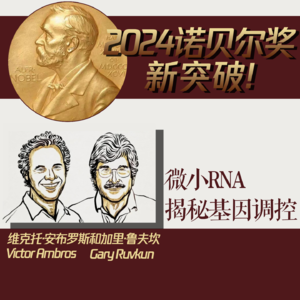 Vol.31 2024诺贝尔奖新突破：微小RNA揭幕基因调控