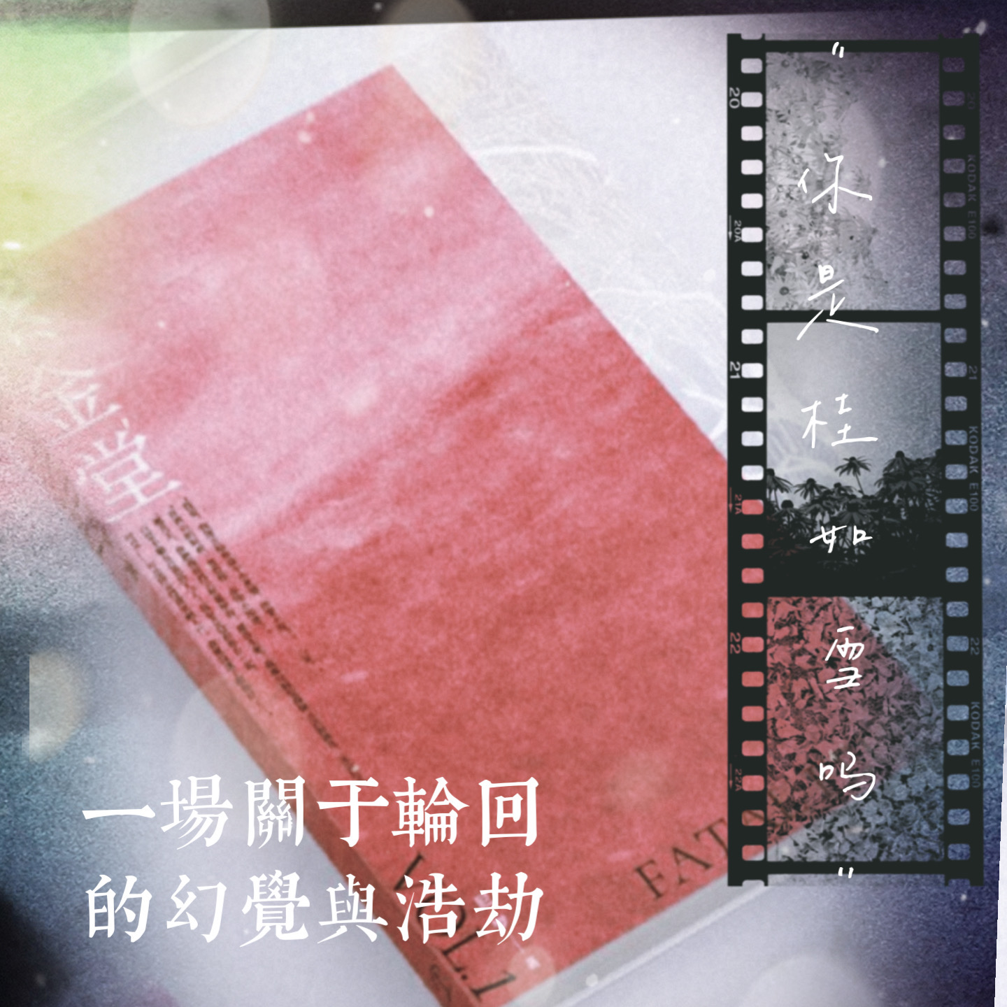 解读尼罗《紫金堂》：一场关于轮回的幻觉与浩劫 episode artwork