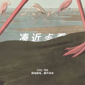 VOL 189 - 蒜鸟蒜鸟，都不泳衣