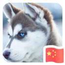 虾_ZWB4