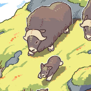 ep6：小森 | 从始至终沉迷于动物魅力的生物创作者