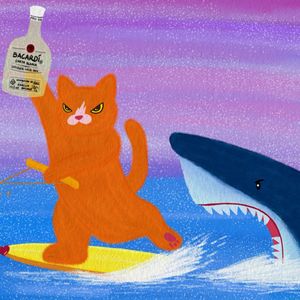 彼此彼此-张成成