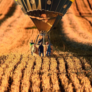 第二季 4 《头马成长路径》Toastmasters88大区（中国北方）前大区长Mason