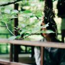 陳婷