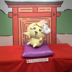 momo拖延桑