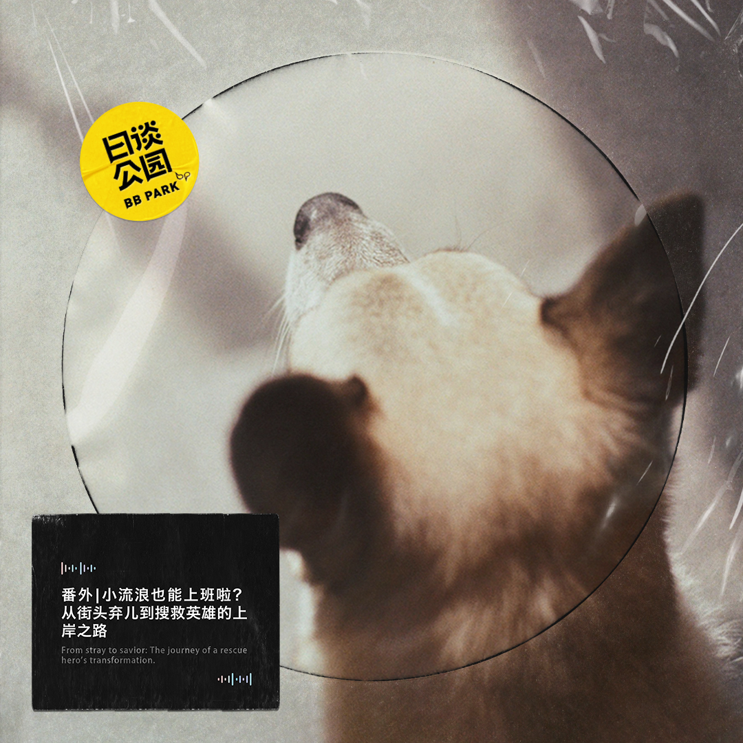 日谈公园 - 番外 | 小流浪也能上班啦?从街头弃儿到搜救英雄的上岸之路