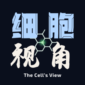 细胞视角