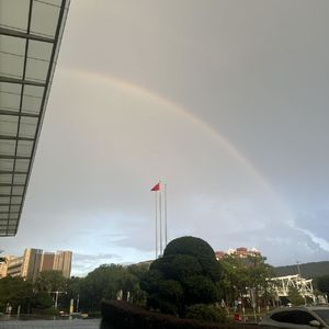 vol.25 灵感来源于少念头