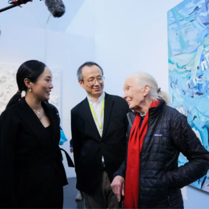 「Vol. 02」驱动力:共情与直觉