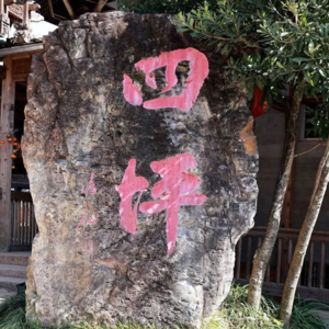 Vol.62 走进福建屏南县四坪村，新村民们分享，乡村如何帮助解放自我
