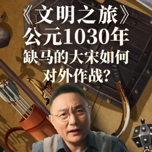 公元1030年：缺马的大宋如何对外作战？
