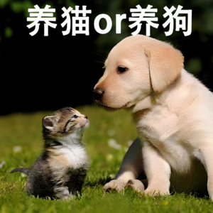 6分钟中文 养猫还是养狗 Should I keep a cat or a dog