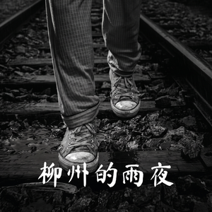 E103 柳州的雨夜：一起连环抢劫强奸杀人案