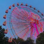 大大方方的发卡